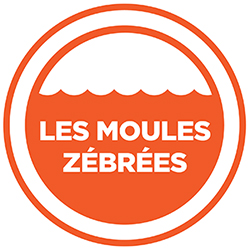 Les moules zbres